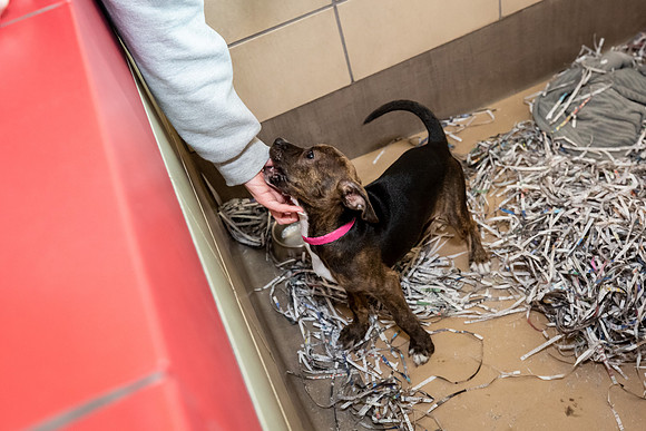 Datascan_03302019_KarlLMoore-127