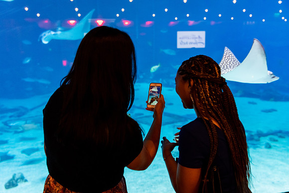 RedLetterAwards_10172019_KarlLMoore-64