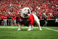UGA_09052015_KLM-4