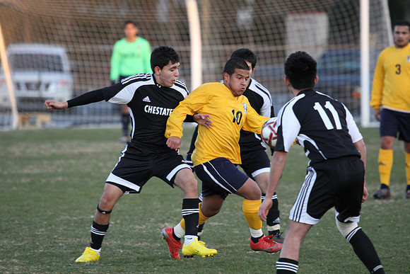 KLM_Chestatee VB10_103.JPG