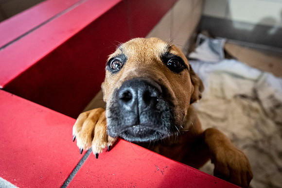 Datascan_03302019_KarlLMoore-87