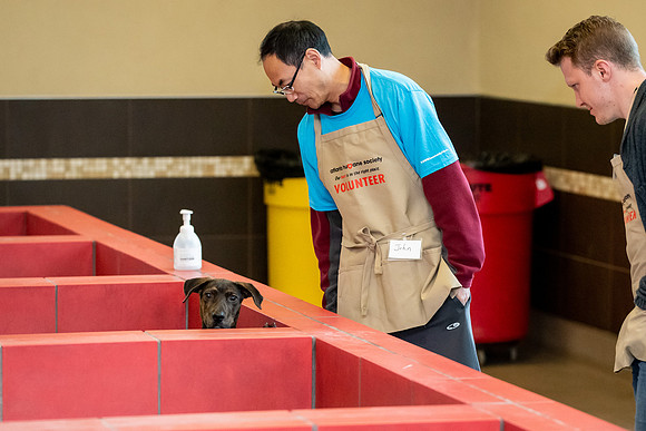 Datascan_03302019_KarlLMoore-30