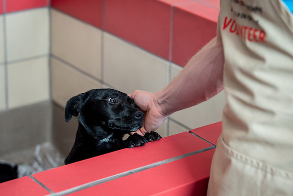 Datascan_03302019_KarlLMoore-130